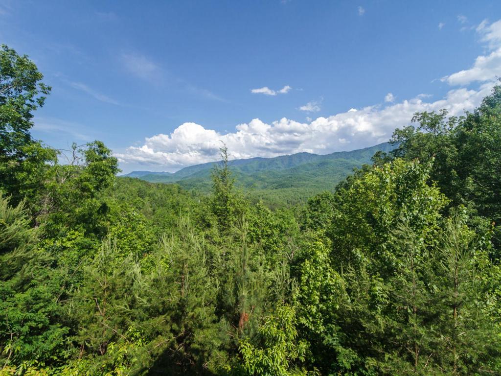 Willa Dreamscapes Gatlinburg Zewnętrze zdjęcie